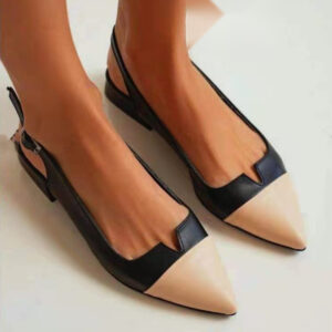 Flats — Two-Tone Pointed Toe